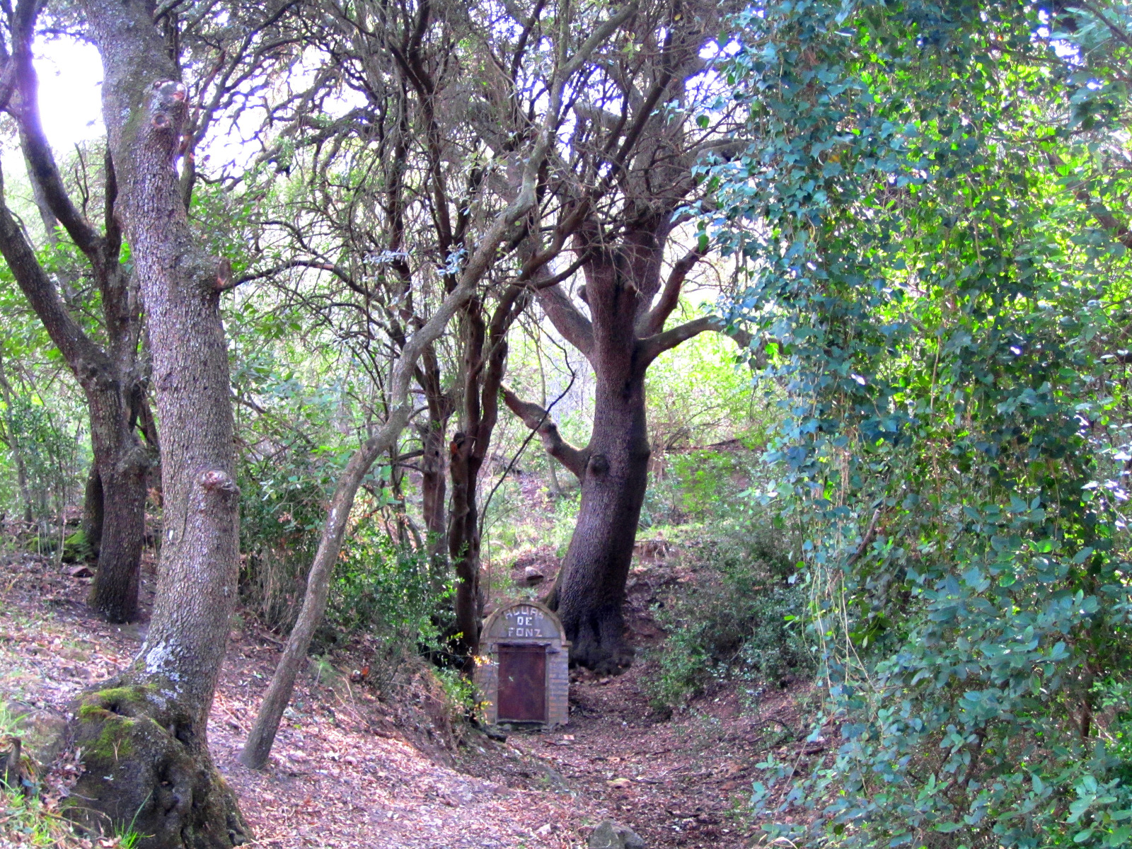 Turismo de Fonz propone descubrir el tesoro de Palau en una nueva excursión por la Ruta del Agua